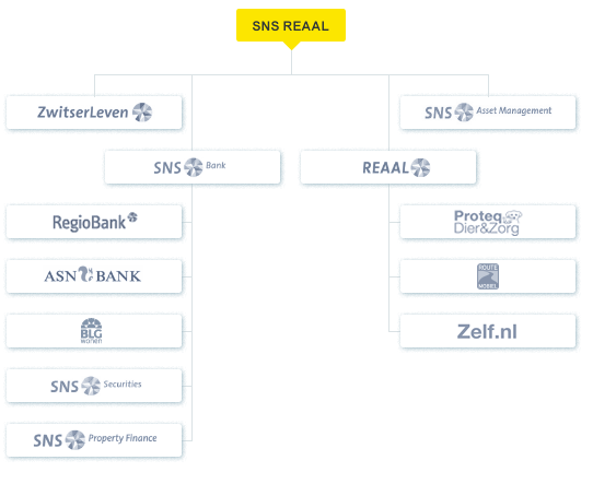 SNS REAAL